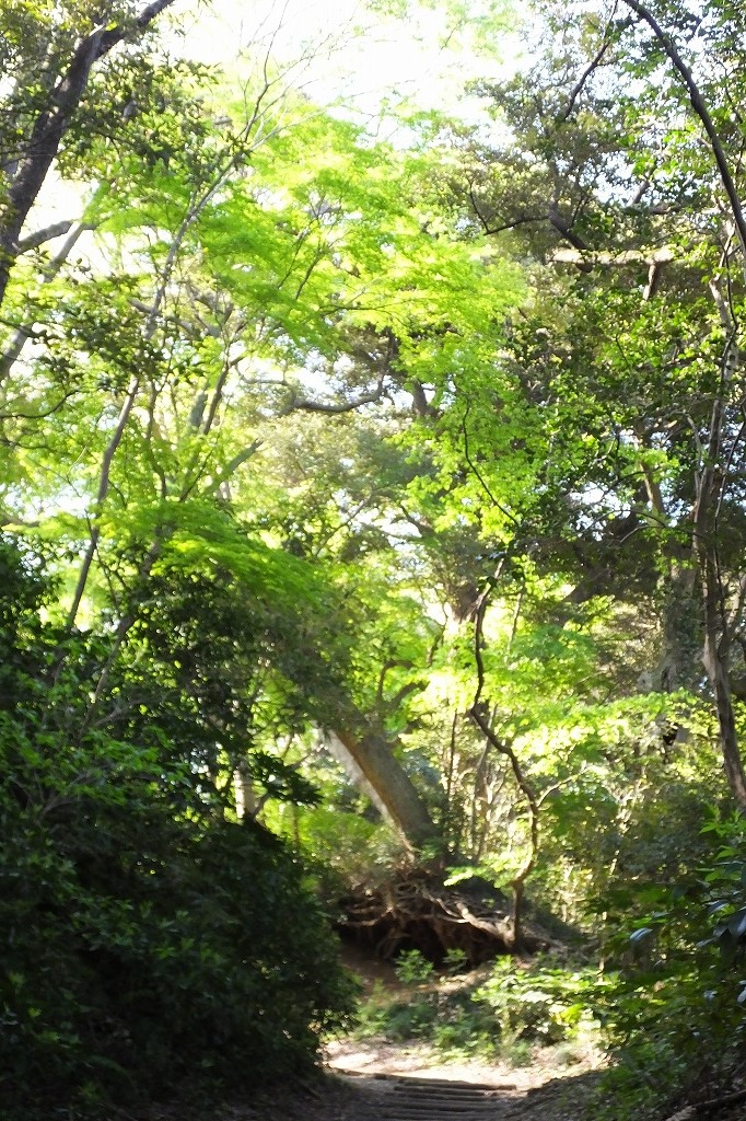b0236251_10582566.jpg