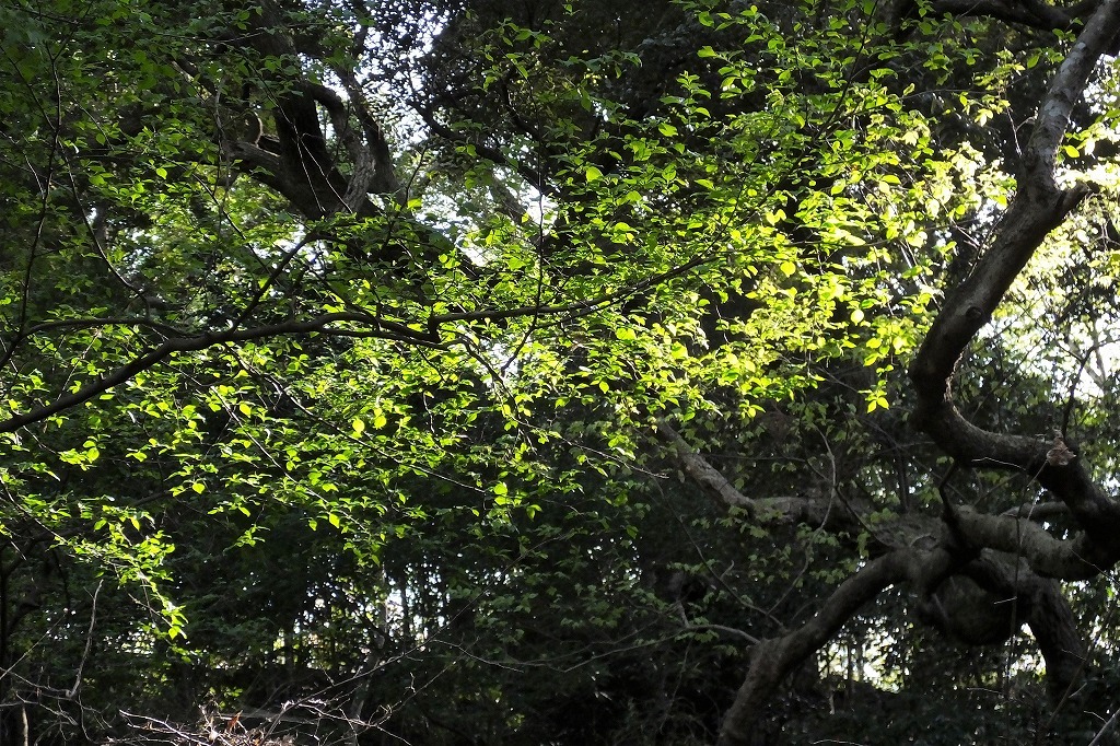 b0236251_10592155.jpg
