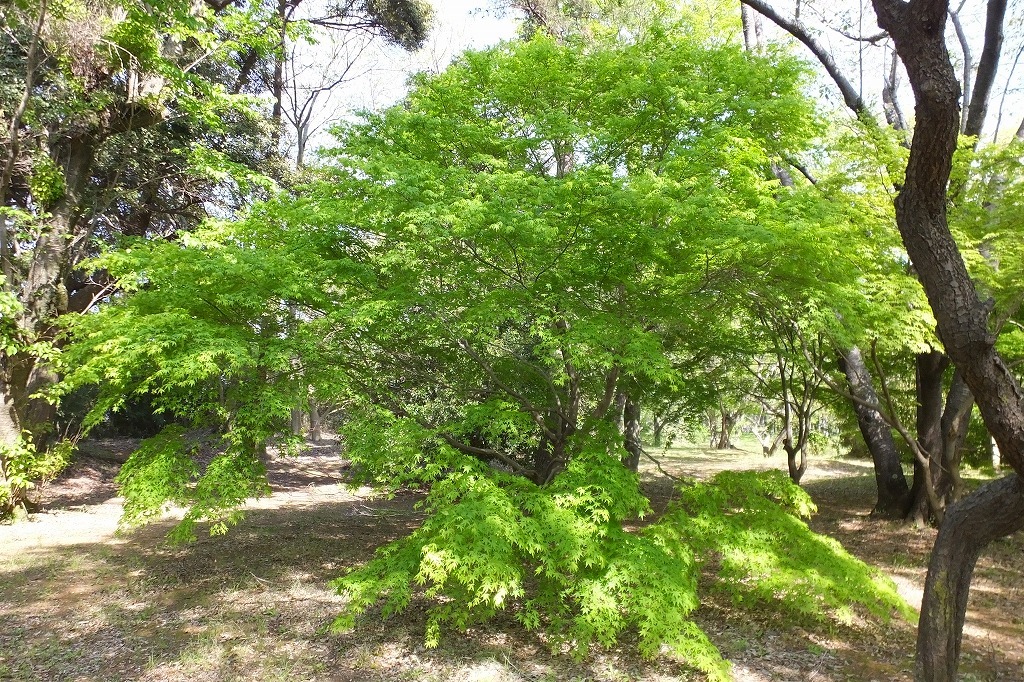 b0236251_10592460.jpg