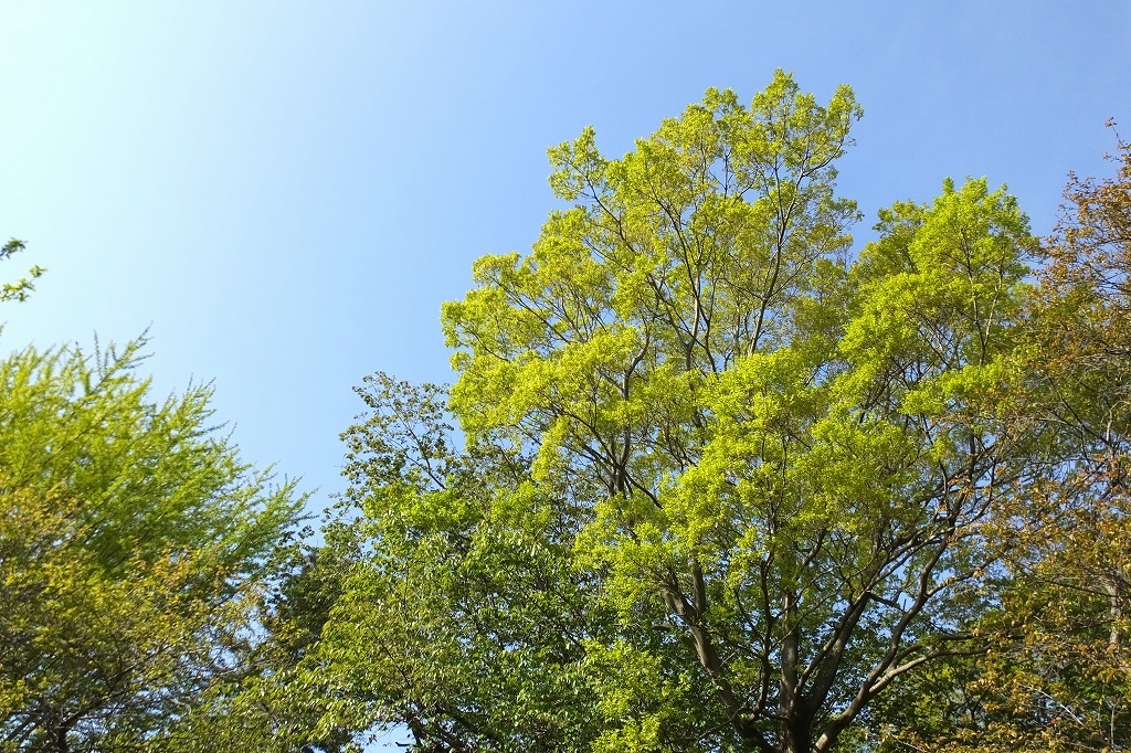 b0236251_10592835.jpg