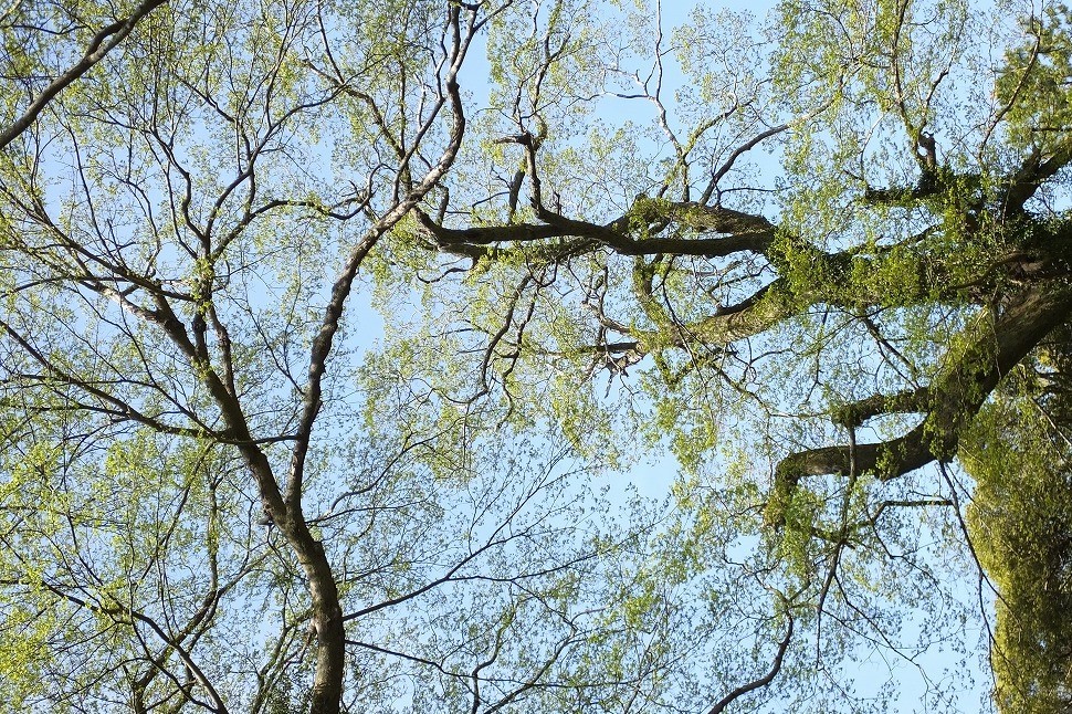b0236251_11000048.jpg