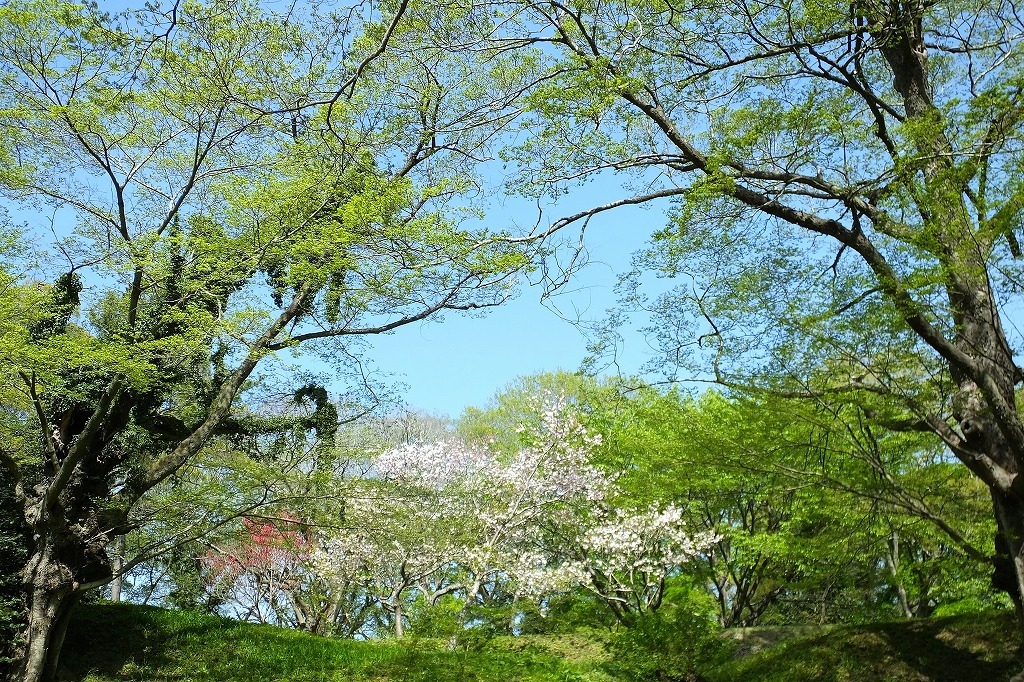 b0236251_11000431.jpg