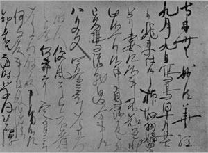 佐渡の地で石灰虫が大発生し作物が被害を受けた状況を富木常忍に伝えられた消息【土木殿御返事】_f0301354_02312750.jpg
