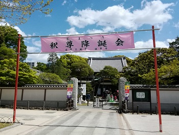 花まつり_a0061057_0594999.jpg
