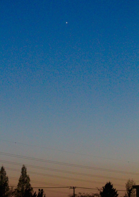a0248459_16202456.jpg