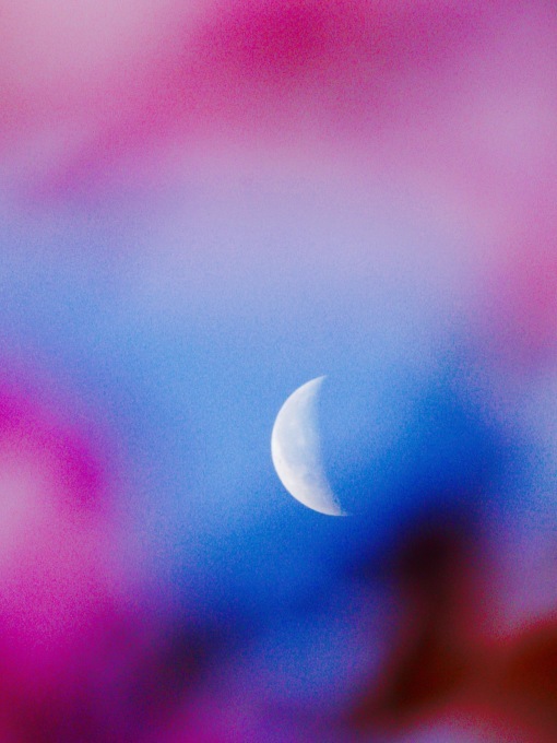 a0248459_16263118.jpg
