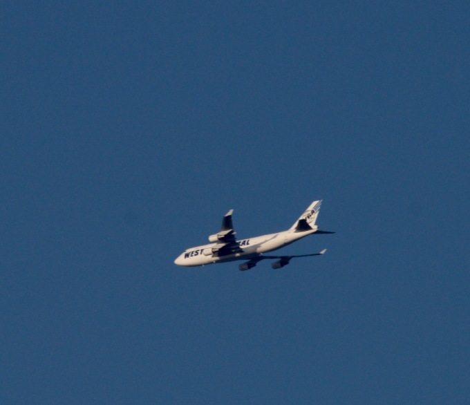 a0248459_16352446.jpg