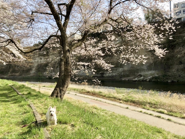 f0363961_18013551.jpeg