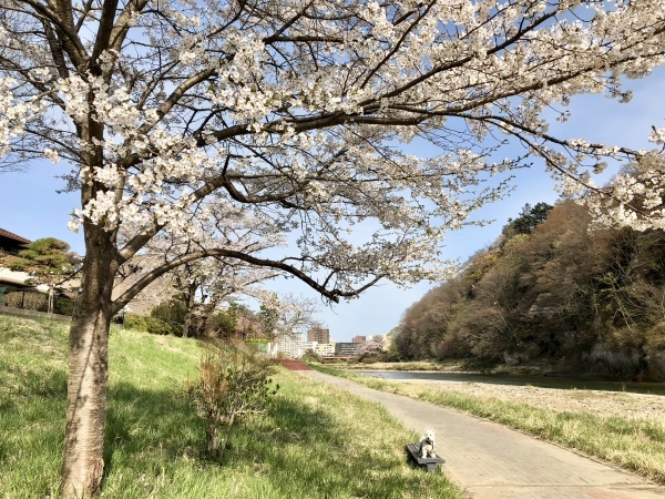 f0363961_18015017.jpeg