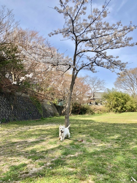 f0363961_18021079.jpeg
