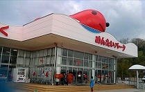 f0395164_20342875.jpg