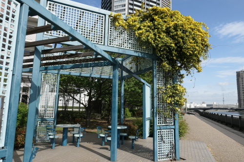 d0193569_08253343.jpg