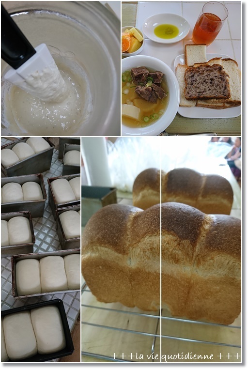 なんちゃってルヴァンのヨーグルト種で作った食パンとイースター_a0348473_01214871.jpg