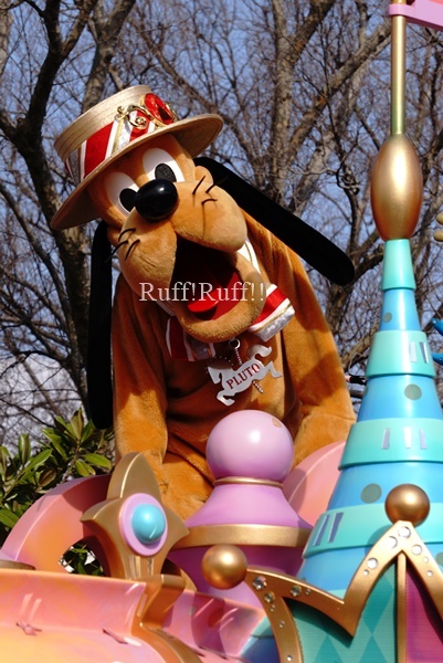 写真のみ ハピネス イズ ヒア ｒｕｆｆ ｒｕｆｆ Pluto Love