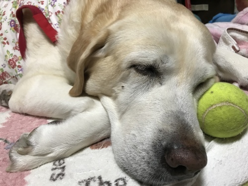 f0315081_22442857.jpeg