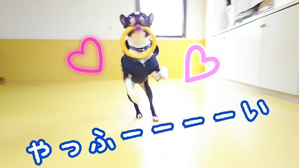 🎵ダッシュ!ダーッシュ!ダッシュ!🎵_f0357682_21083330.jpg