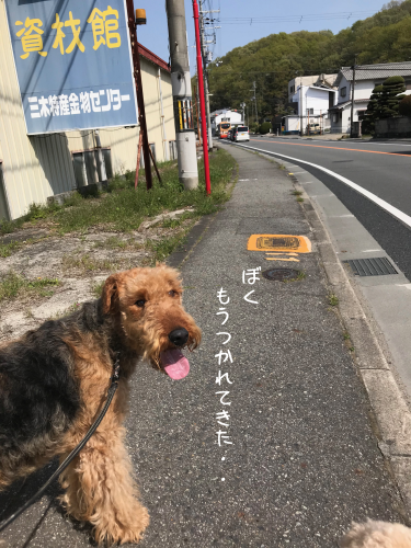 a0216583_23031456.png