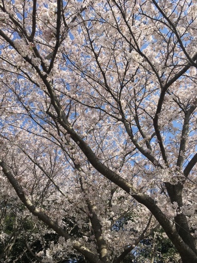 b0183483_13583393.jpeg