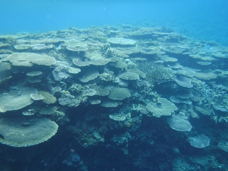 d0170586_19414666.jpg