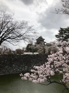 お花見_e0233190_12591311.jpg