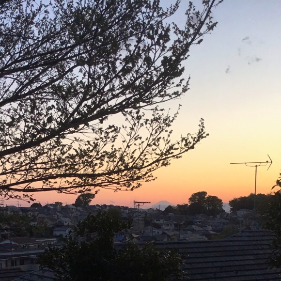 c0010791_18375210.jpeg