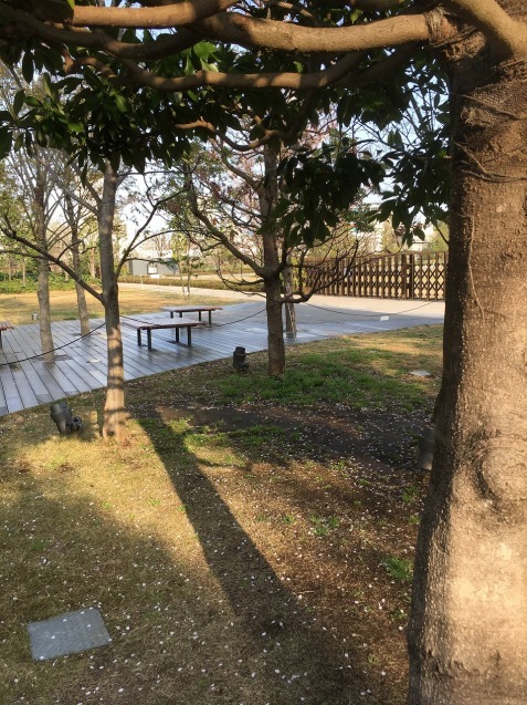 f0370494_23230352.jpg