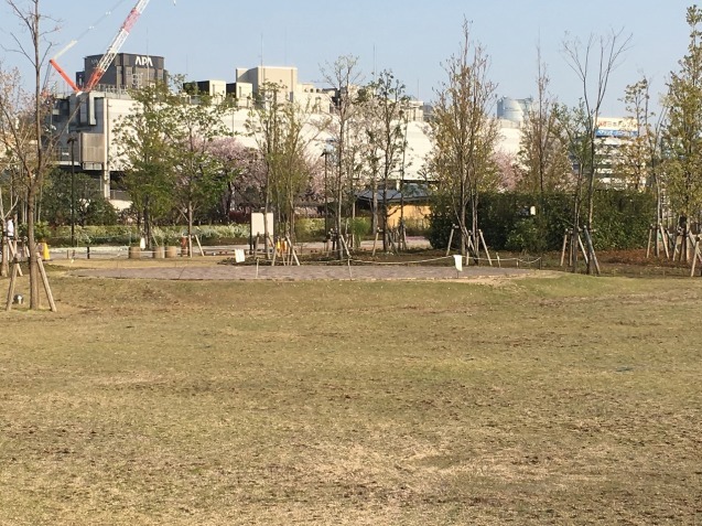 f0370494_23323543.jpg