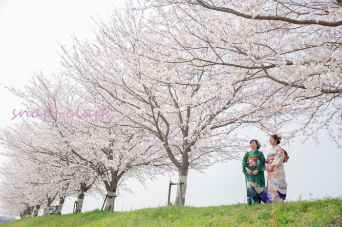 成人式の後撮り～桜の下で～_e0269595_21422360.jpg