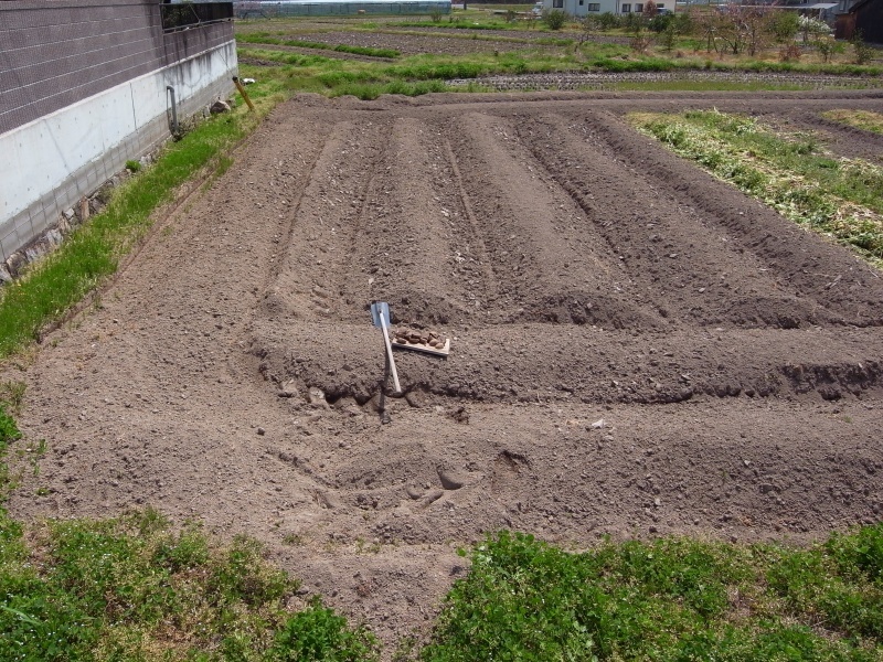 f0325295_14205018.jpg