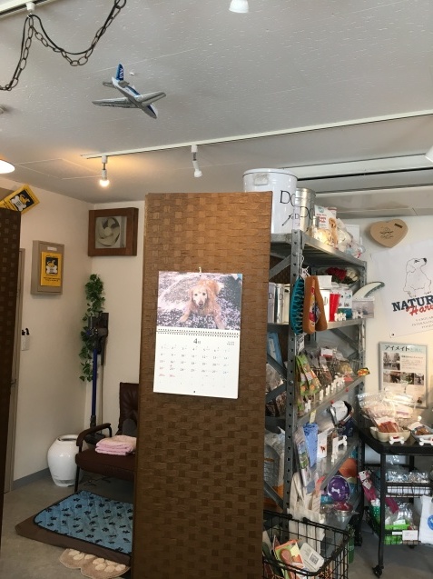 b0275998_18024267.jpeg