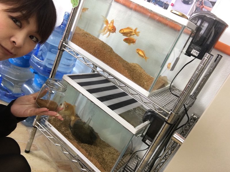 4月11日(水)☆TOMMYアウトレット☆あゆブログ٩(๑>◡<๑)۶ セレナI様納車♪ 自社ローン・ローンサポート☆_b0127002_16580455.jpg