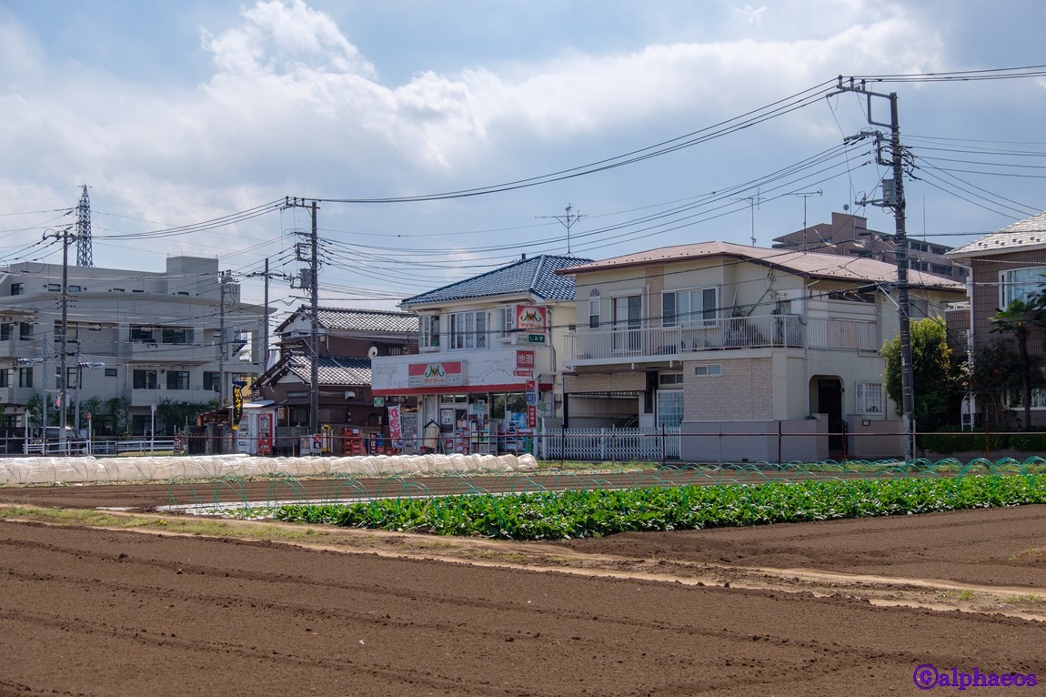 2018年4月9日　黒目川方面散策_a0060403_19033227.jpg