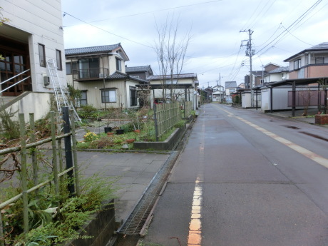 a0203003_16395561.jpg