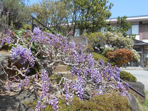 d0009105_0432419.jpg