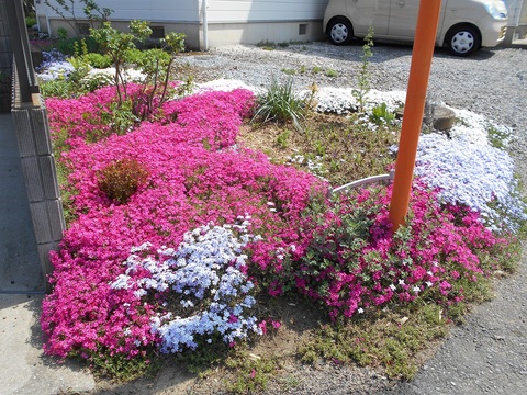 d0009105_0441258.jpg