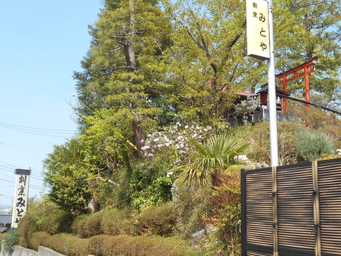 d0009105_0445145.jpg