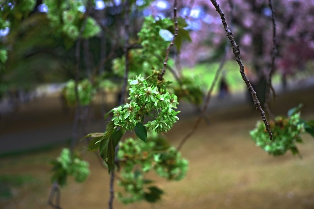 d0376905_14544331.jpg