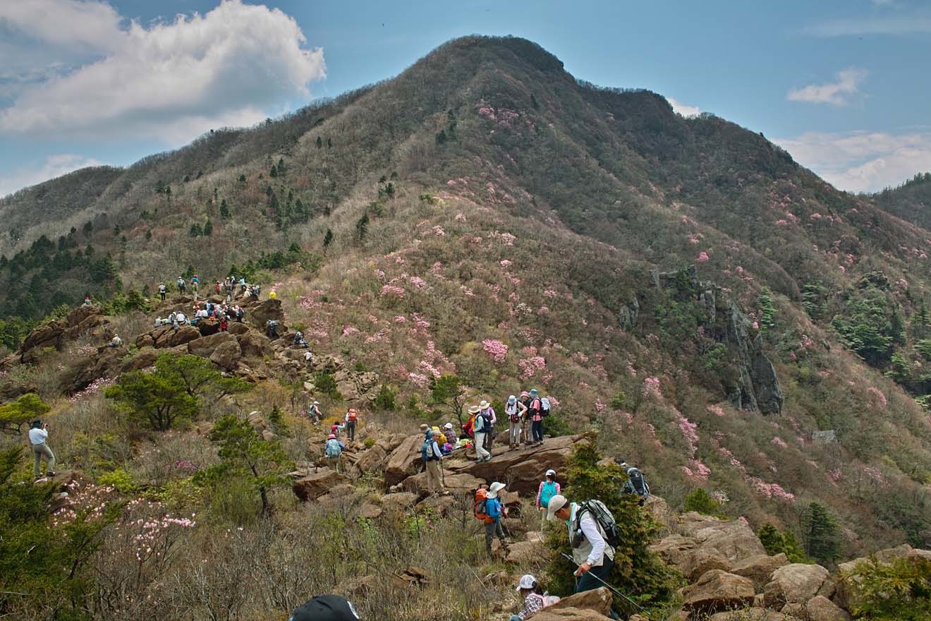 魔戸の滝～種子川造林道～兜岩～西赤石山～石ヶ山丈尾根～魔戸の滝　周遊_b0124306_16520224.jpg