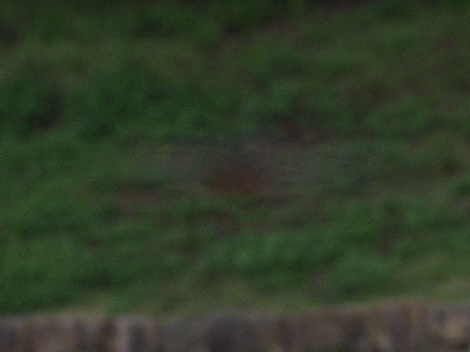a0117507_23403606.jpg