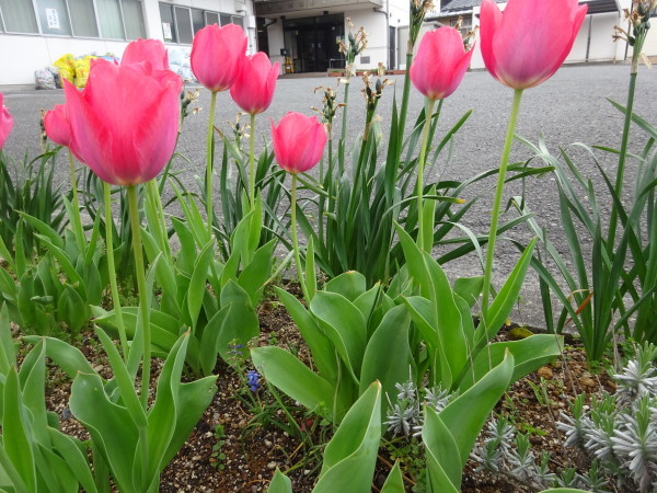 f0231709_13055688.jpg