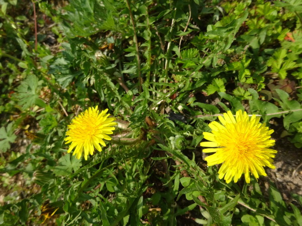 f0231709_13322263.jpg