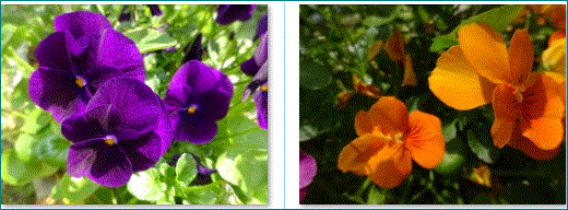 f0231709_13355456.gif