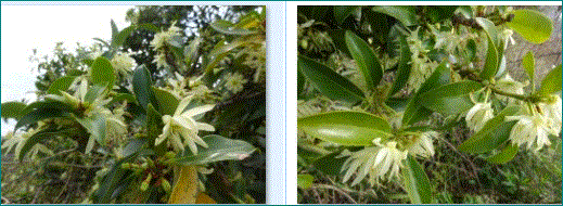 f0231709_13391938.gif