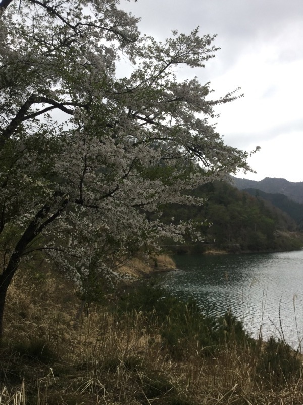 b0169513_20342855.jpeg