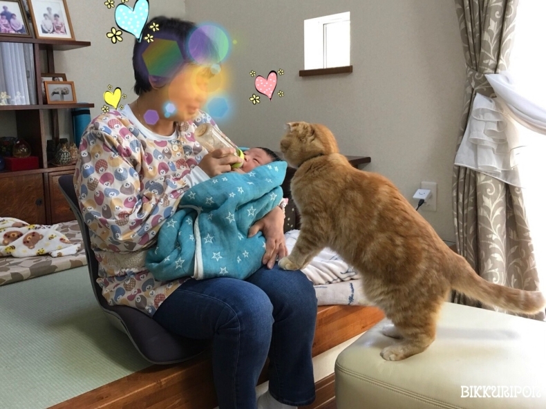 赤ちゃんと猫_d0344913_09564149.jpg