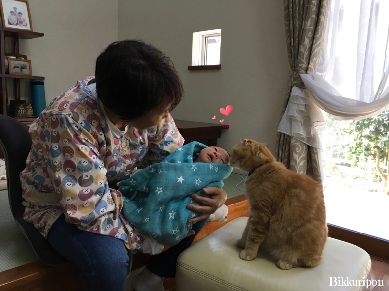 赤ちゃんと猫_d0344913_09565172.jpg