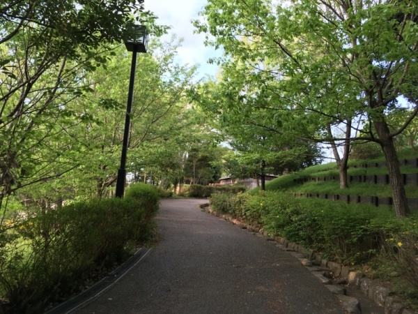f0369014_09540667.jpg