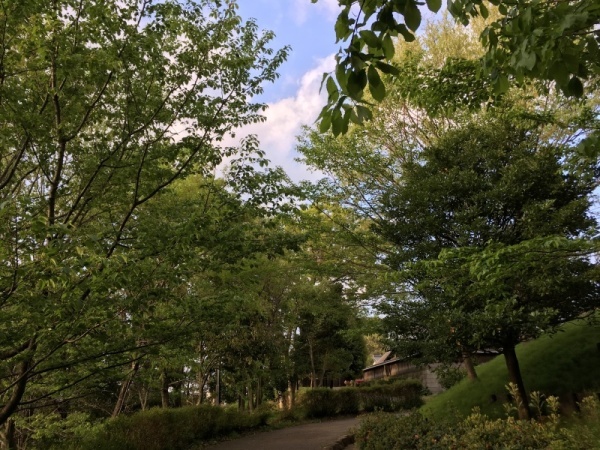 f0369014_09551710.jpg