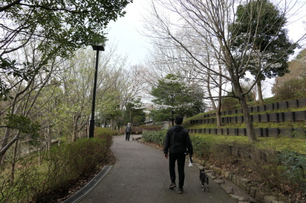 f0369014_10070395.jpg