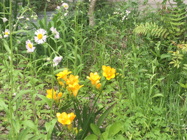 b0268815_23244737.gif